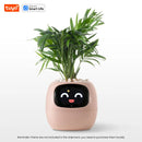 Intelligent plant pot - Tuya Ivy Smart Planter