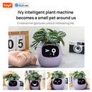 Intelligent plant pot - Tuya Ivy Smart Planter
