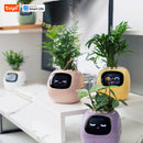 Intelligent plant pot - Tuya Ivy Smart Planter