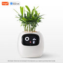 Intelligent plant pot - Tuya Ivy Smart Planter