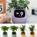 Intelligent plant pot - Tuya Ivy Smart Planter