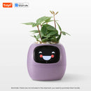 Intelligent plant pot - Tuya Ivy Smart Planter