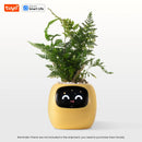 Intelligent plant pot - Tuya Ivy Smart Planter