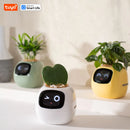 Intelligent plant pot - Tuya Ivy Smart Planter