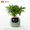 Intelligent plant pot - Tuya Ivy Smart Planter